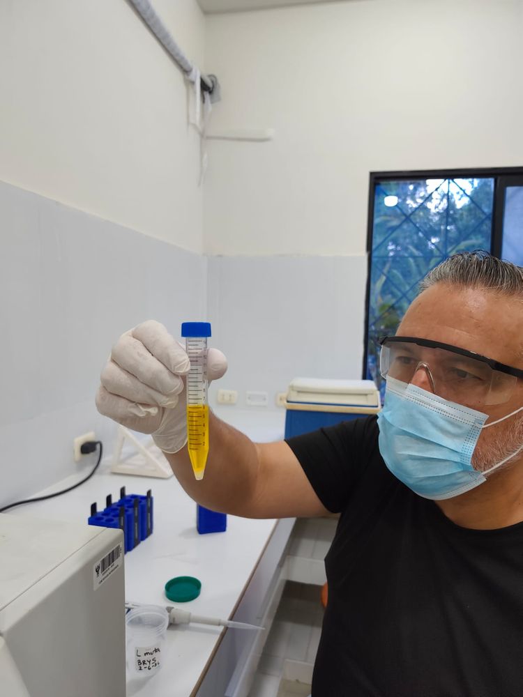 Venom being processed at the bench under gloves, mask and eye protection.